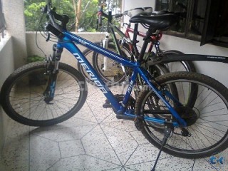 Merida Warrior 560 for sale Limited Edition Royal Blue Mate