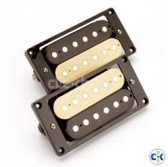 Dean Zebra Humbuckers contact 01683689295