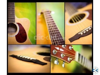 Custom Acoustic Guitar bag and stand