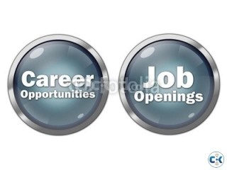 HR Officer Executive