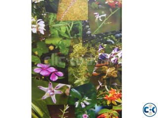 Osodhe Udvid By Dr.Samsuddin Ahmed ঔষধি উদ্ভিদ