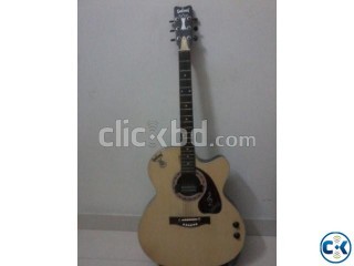 acoustic guitar