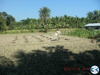 Land for Sale khulna