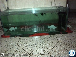 Big Fish aquarium in tank low price u see