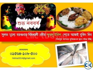 Hilsha Fish