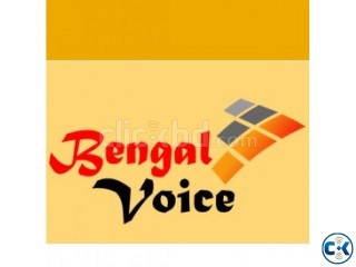 BD GREY 0.0175 Bengal Voice Reseller Available