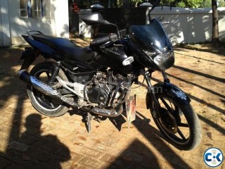 Pulsar............................SALE SALE SALE