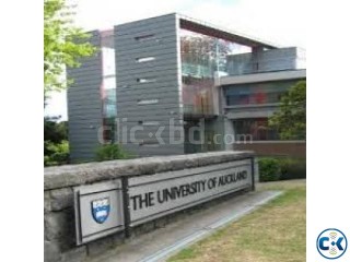 Hot Offer Studying in New Zealand
