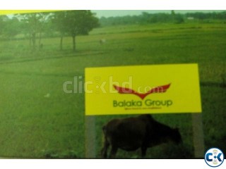 পুর্বাচল সিটি বলাকা গ্রুপ ৩ কাঠা জমি জরুরী