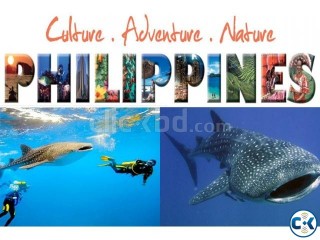 PHILIPPINE ভিসা মাত্র ৪ দিনে