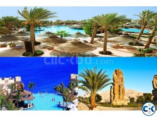 EGYPT মিশর Visa মাত্র ৩ দিনে