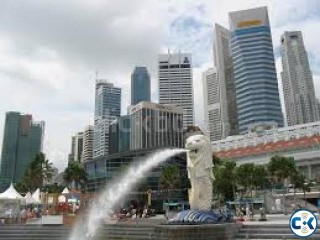 Singapore work visa at Hyundai Company.