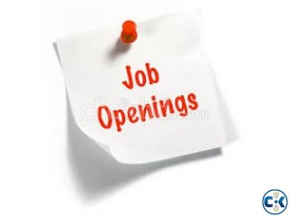 Junior Programmer C .Net
