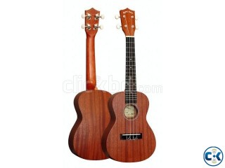 Ukulele 245