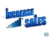sales executive