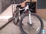 Raleigh Elite HT Very Rarely Used