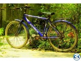 Used Cycle SPIDER