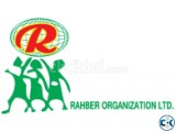 Executive Sales Marketing