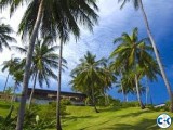 Visit Thailand চলো না ঘুরে আসি