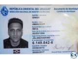 100 sure shot USA Canada South Africa North America