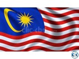 Malaysia Professional Work Visa DP-10