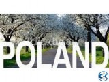 WORK PERMIT IN POLAND