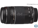 Canon EOS 600D DSLR camera with EF-S 18-55 and 75-300 Lens