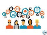 Junior Web Application Developer Immidiate Start