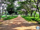 Green Model Town Plot-49 Road-9 Block- C Manda Dhaka.