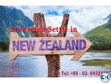 Higher Education In NewZealand