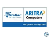 Sales Executive male