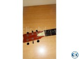 Acoustic Guitar