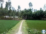 Lands and Pond Sale in Ulipur উলিপুরে জমি এবং পুকুর বিক্রি
