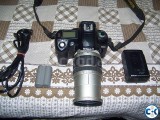 Nikon D70 -Lens-28-200
