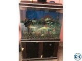 Aquarium including oxygen fish and decoration