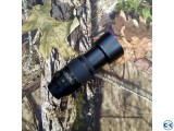 Nikon AF-S DX NIKKOR 55-300mm ED VR Telephoto Zoom Lens