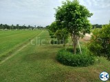 মূল্য পরিশোধের সাথে সাথেই প্লট রেজিস্ট্রেশন ও হস্তান্তর ।