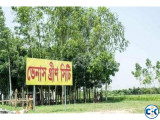 ভরাট নয় প্রাকৃতিকভাবে উঁচু জমি ভেনাস গ্রীন সিটি