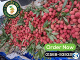 রাজশাহীর ফর্মালিনমুক্ত লিচু।