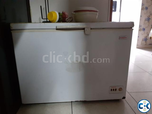 QURBANI OFFER Esquire Deep Freezer ESF-400 large image 4