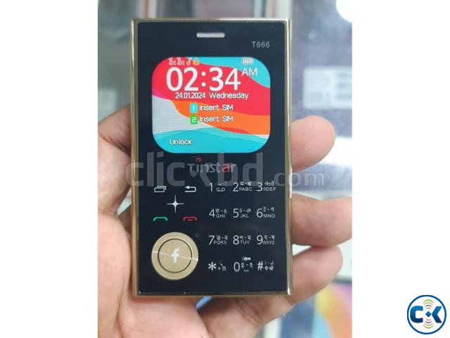 Tinstar T666 Dual sim supported Card phone Golden color large image 2