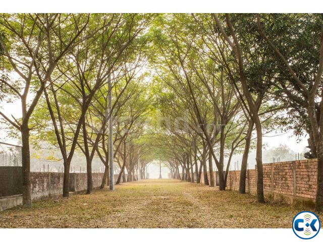 5 Katha 100 ready plot Sale Purbachal by Navana large image 3