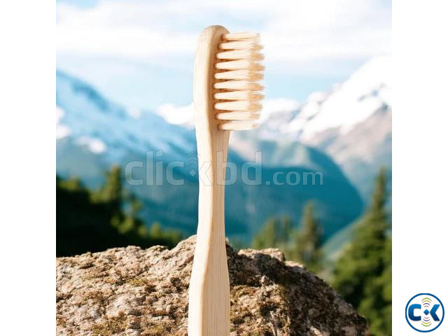 Bamboo Toothbrush বাশের তৈরী ব্রাশ large image 1