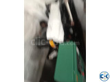 Small image 2 of 5 for 150 kVA Cummins Engine Saintshine Diesel Generator | ClickBD