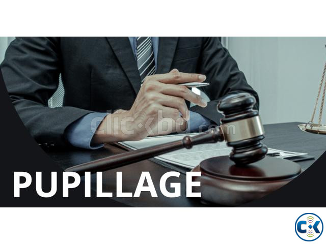 LAW HOME TUTOR_FOR O A LEVEL_LLB_LLM large image 3
