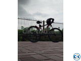 phoneix cycle for sell