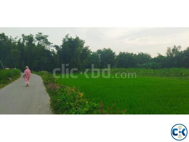 জমি ভাড়া price in Bangladesh | ClickBD image 3