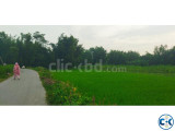 জমি ভাড়া
