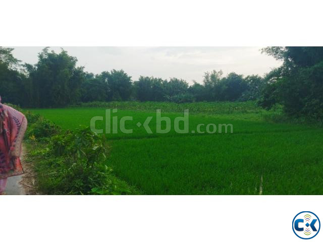 জমি ভাড়া price in Bangladesh | ClickBD image 4