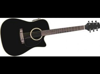 Custom Acoustic Guitar With Equalizer